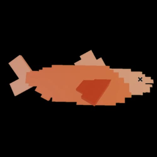 Salmon