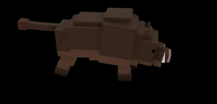 Boar