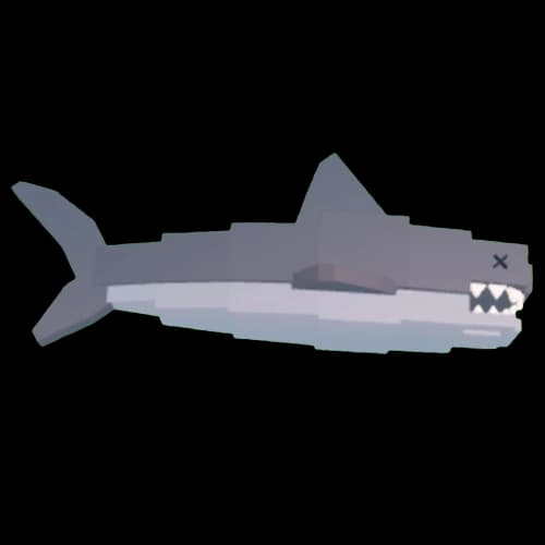 Shark