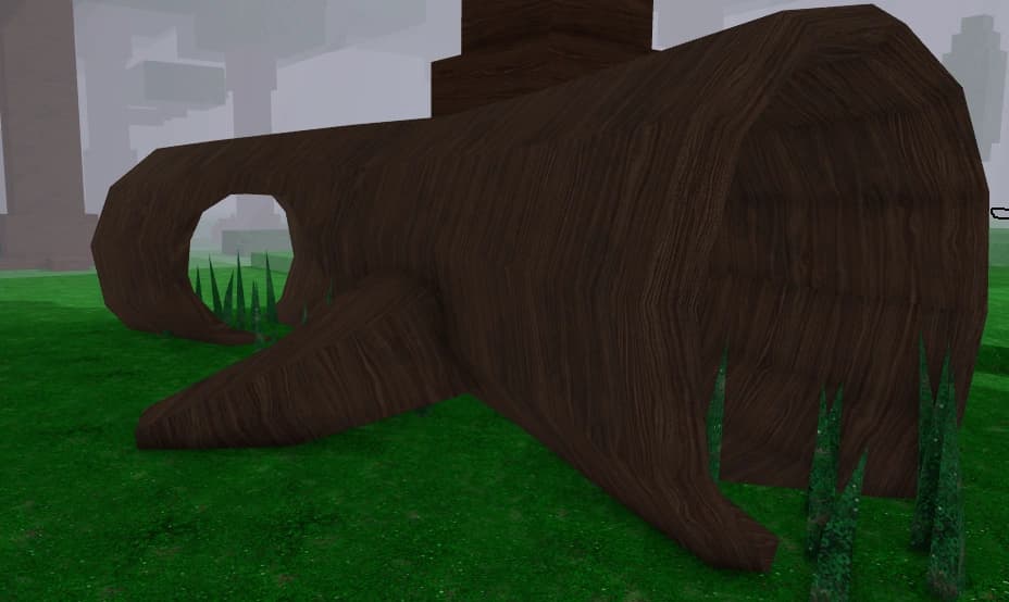 Fallen Log