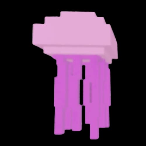 Jellyfish