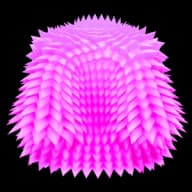Pink Coat accessory — Blox Fruits uncommon