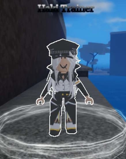 Haki Trainer