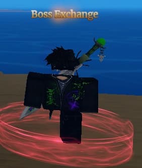 Boss Exchanger