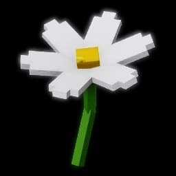 Daisy