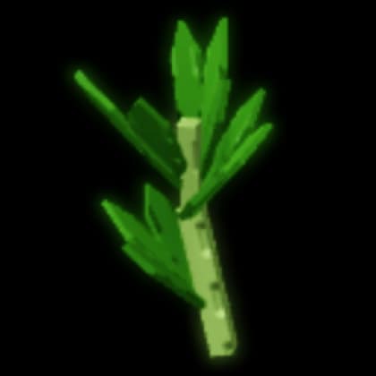 Parsley