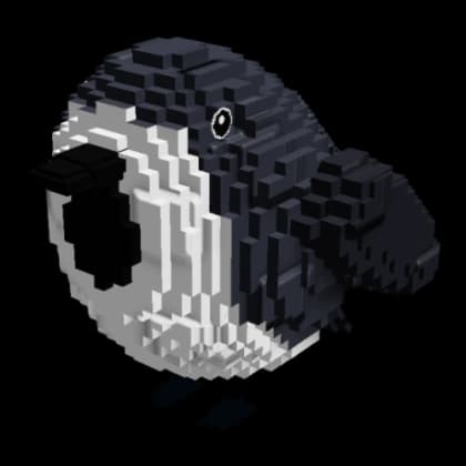 Birb