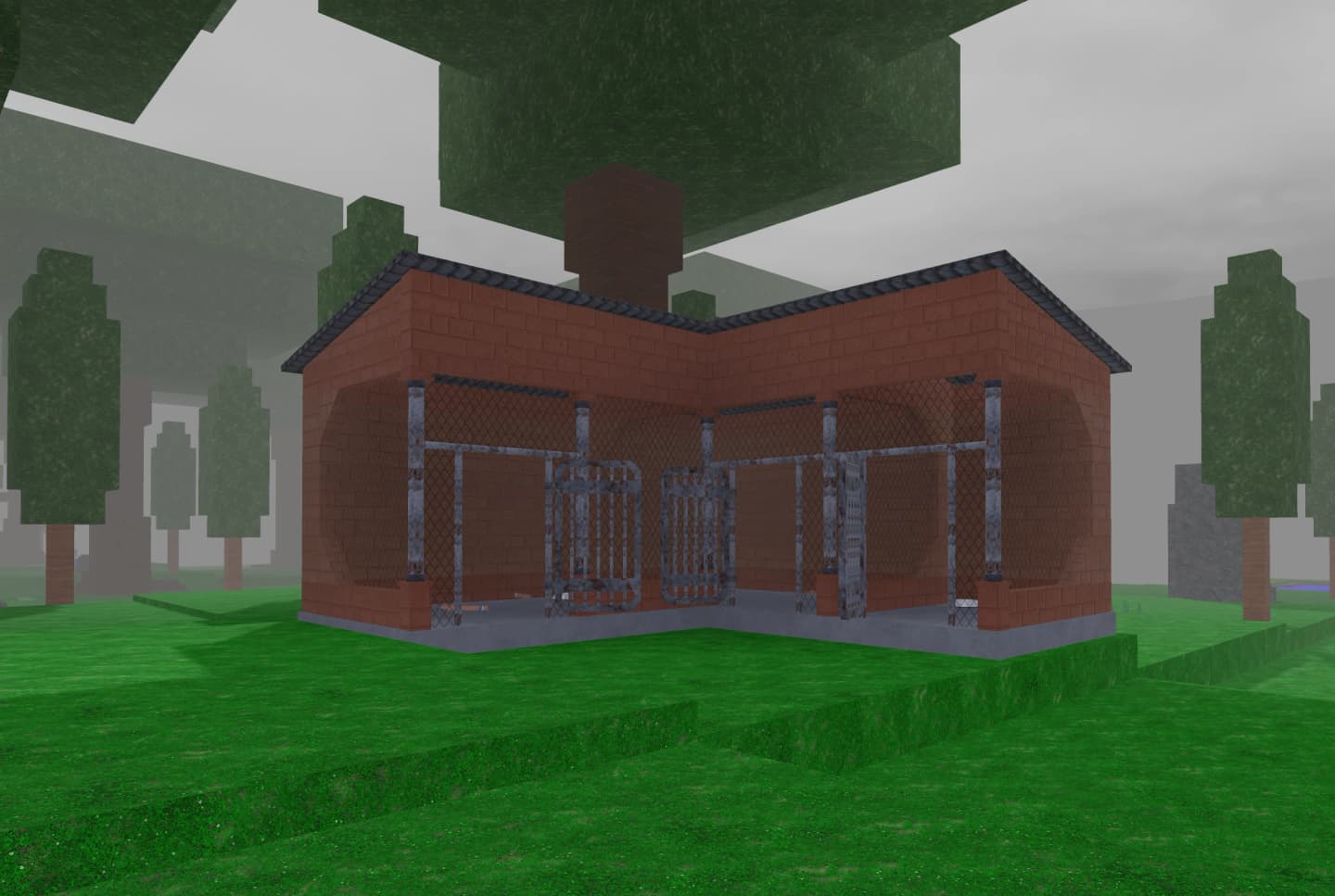 Abandoned Animal Shelter