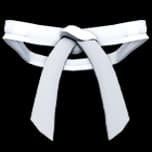 Dojo Belt (White) accessory — Blox Fruits