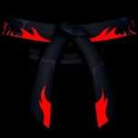 Dojo Belt (Black) accessory — Blox Fruits
