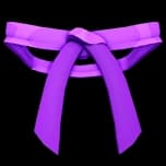 Dojo Belt (Purple)