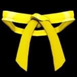 Dojo Belt (Yellow) accessory — Blox Fruits