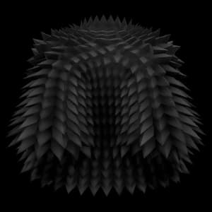 Black Spikey Coat accessory — Blox Fruits