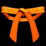Dojo Belt (Orange) accessory — Blox Fruits