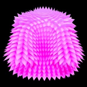 Pink Coat accessory — Blox Fruits