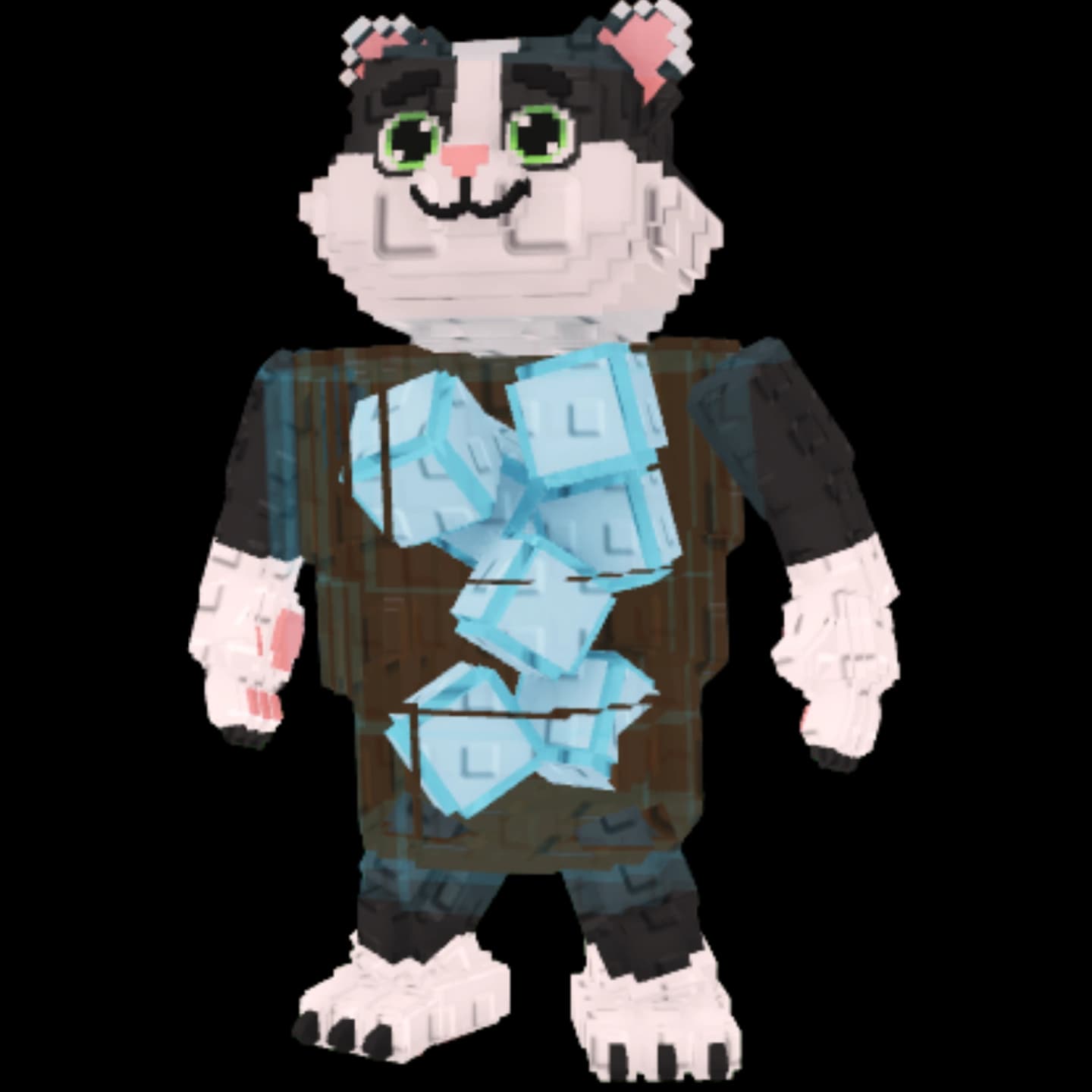 Cola Cat