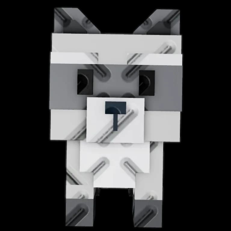 Raccoon