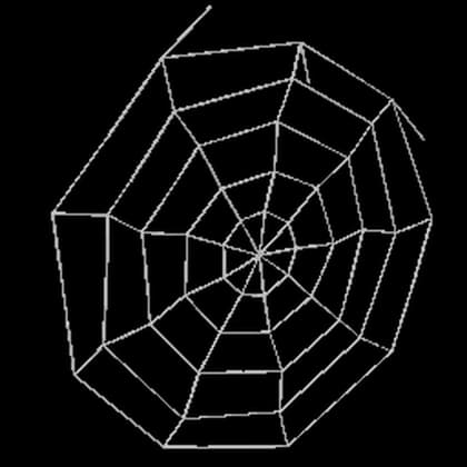 Cobweb