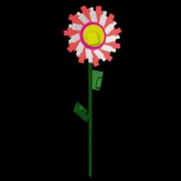 Candy Sunflower