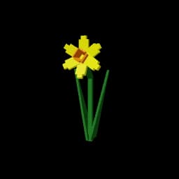 Daffodil