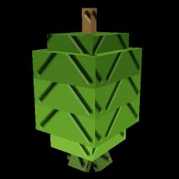 Feijoa