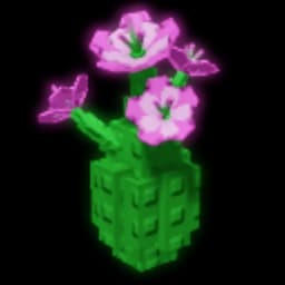 Melon Flower