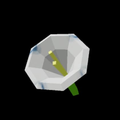 Moonflower