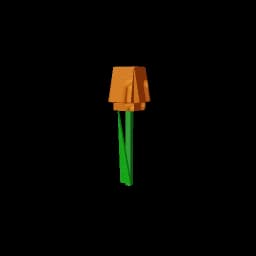 Orange Tulip