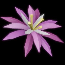 Paradise Petal