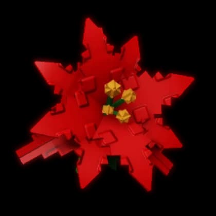 Poinsettia