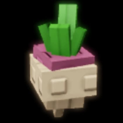 Turnip