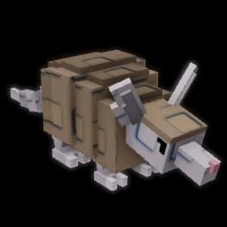 Armadillo