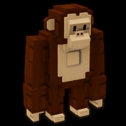 Chimpanzee