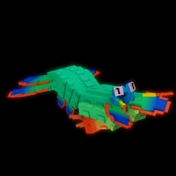 Mantis Shrimp