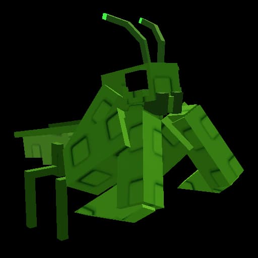 Praying Mantis