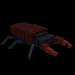 Stag Beetle