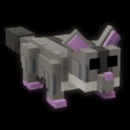 Sugar Glider