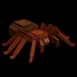 Trapdoor Spider